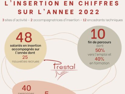 chiffres cles insertion 1